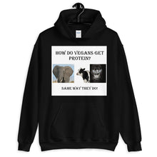 Load image into Gallery viewer, Vegan Protein Hoodie
